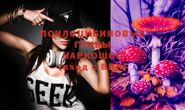 спиды Няндома