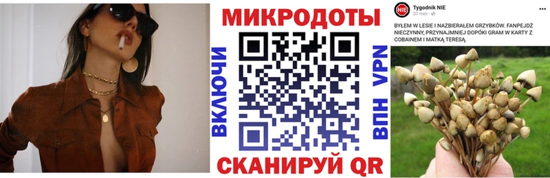 Псилоцибиновые грибы ЛСД  закладка  Починок 